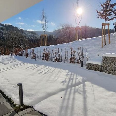 Upland Lounge Leilighet Willingen  Eksteriør bilde